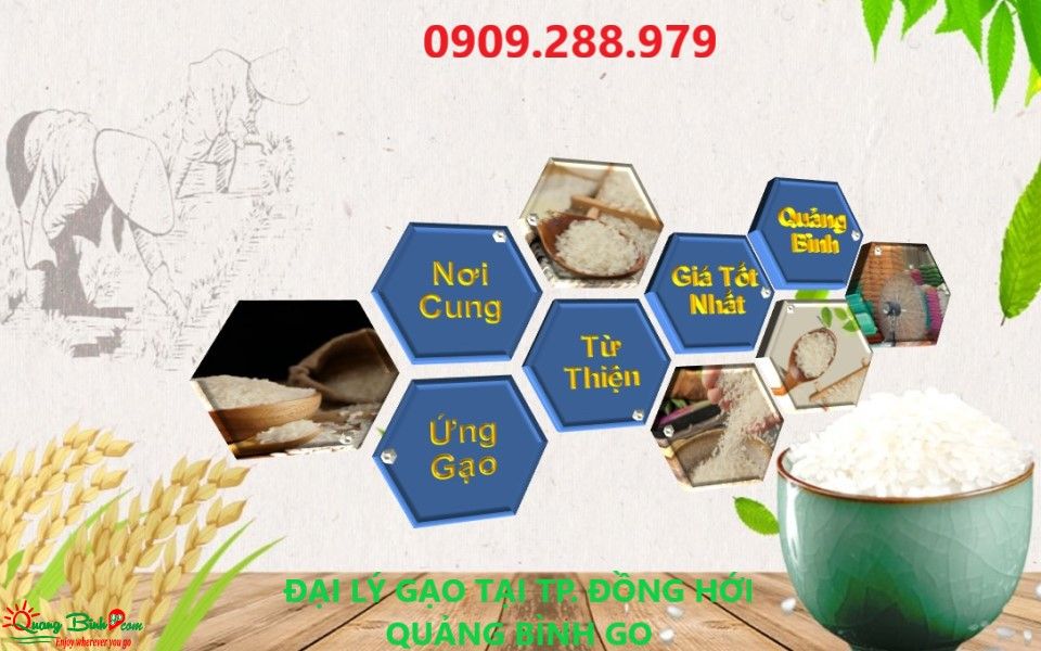 Nơi cung cấp gạo từ thiện tại Quảng Bình