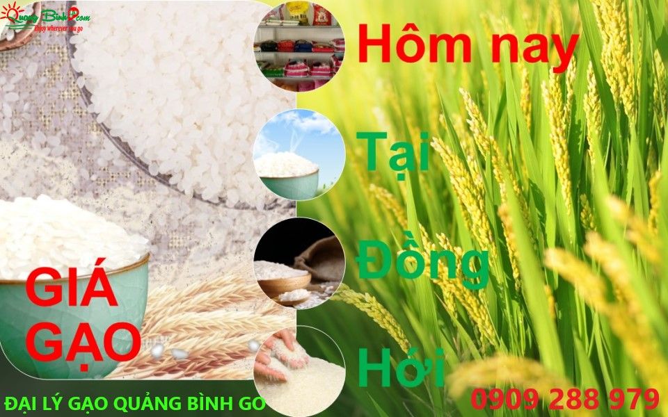 Giá gạo ở Đồng Hới tại đại lý Quảng Bình GO