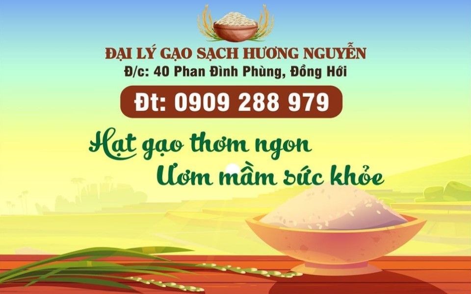 Đại lý gạo sạch, ngon tại Đồng Hới, Quảng Bình GO