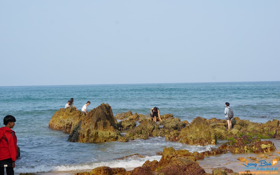 Scenic spot Da Nhay beach, Quang Binh Go tour