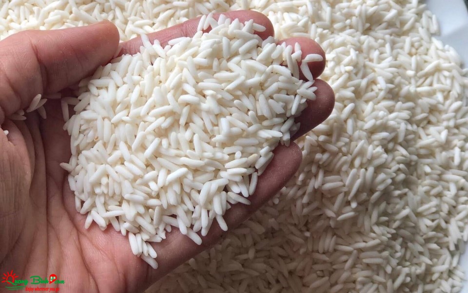 Cách chọn gạo nếp ngon, Quảng Bình GO